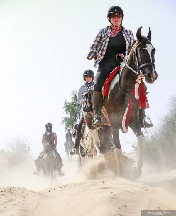 7-daagse paardrijtocht Tharwoestijn van Rajasthan – India