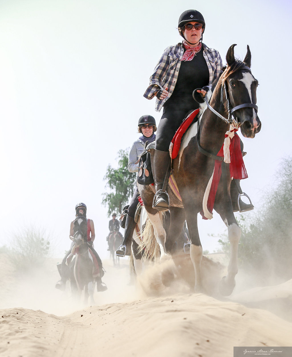 7-daagse paardrijtocht Tharwoestijn van Rajasthan – India - Afbeelding 4