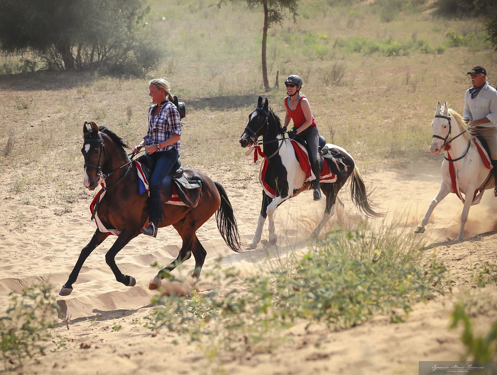 7-daagse paardrijtocht Tharwoestijn van Rajasthan – India - Afbeelding 2