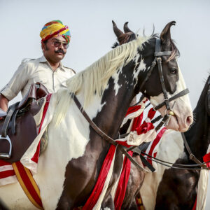 11-daagse paardrijtocht het Land der Koningen Marwar – India - Afbeelding 8