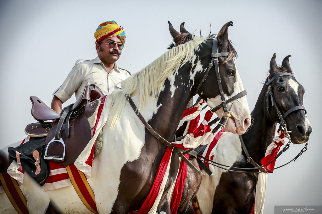 11-daagse paardrijtocht het Land der Koningen Marwar – India