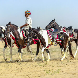 11-daagse paardrijtocht het Land der Koningen Marwar – India - Afbeelding 7