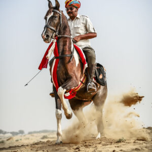 11-daagse paardrijtocht het Land der Koningen Marwar – India - Afbeelding 6