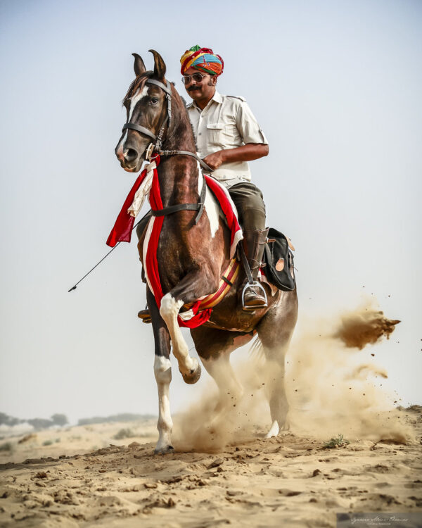 11-daagse paardrijtocht het Land der Koningen Marwar – India