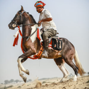 11-daagse paardrijtocht het Land der Koningen Marwar – India - Afbeelding 5