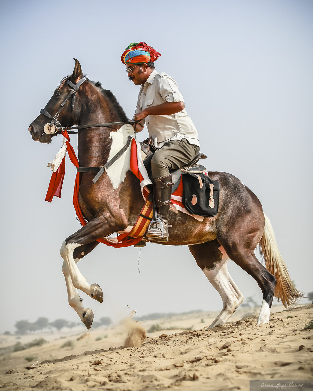 11-daagse paardrijtocht het Land der Koningen Marwar – India