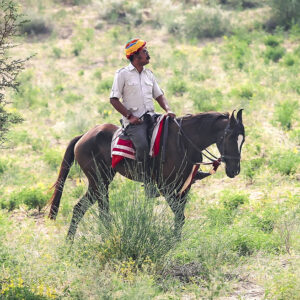 5 geplande groepsritten in 2026 en 2027 Rajasthan – India - Afbeelding 5