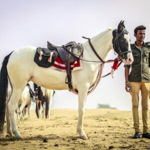 7-daagse paardrijtocht Tharwoestijn van Rajasthan – India - Afbeelding 15