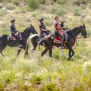 5 geplande groepsritten in 2026 en 2027 Rajasthan – India