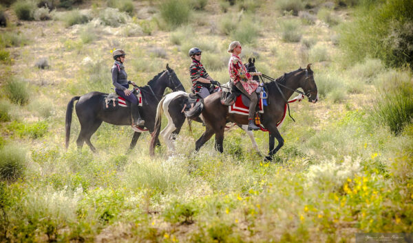 5 geplande groepsritten in 2026 en 2027 Rajasthan – India