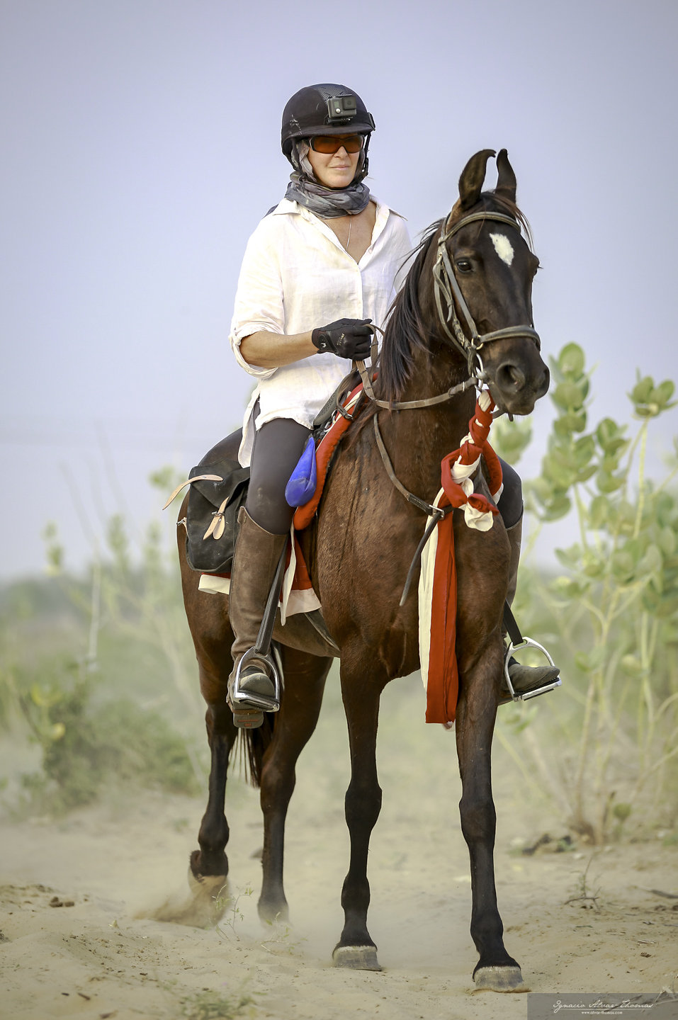 7-daagse paardrijtocht Tharwoestijn van Rajasthan – India - Afbeelding 12