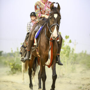 7-daagse paardrijtocht Tharwoestijn van Rajasthan – India - Afbeelding 10