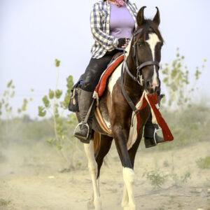 7-daagse paardrijtocht Tharwoestijn van Rajasthan – India - Afbeelding 9