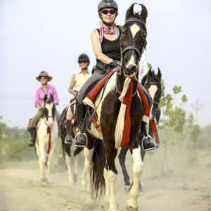 7-daagse paardrijtocht Tharwoestijn van Rajasthan – India - Afbeelding 8