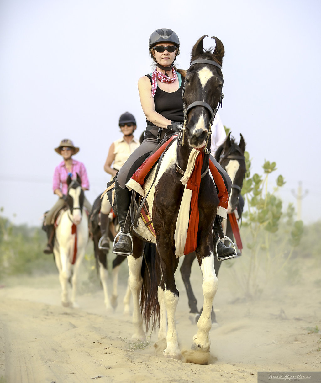 7-daagse paardrijtocht Tharwoestijn van Rajasthan – India