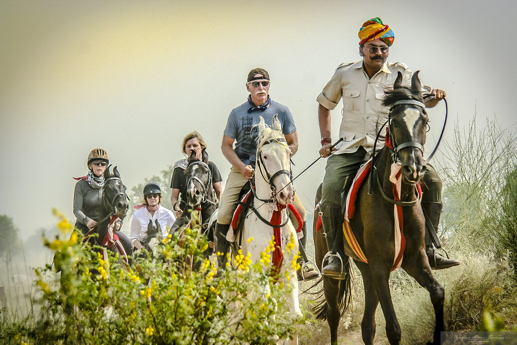 11-daagse paardrijtocht het Land der Koningen Marwar – India