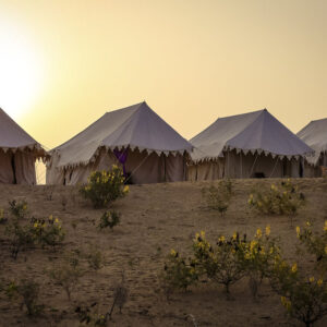 13-daagse paardrijtocht Le Grand Tour Rajasthan – India - Afbeelding 6