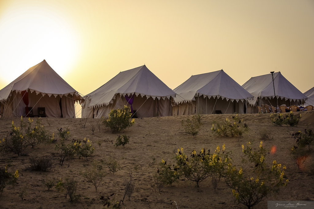 13-daagse paardrijtocht Le Grand Tour Rajasthan – India - Afbeelding 6