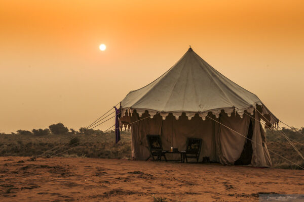 11-daagse paardrijtocht het Land der Koningen Marwar – India