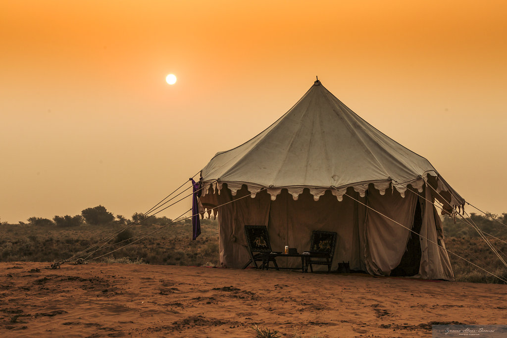 11-daagse paardrijtocht het Land der Koningen Marwar – India - Afbeelding 10