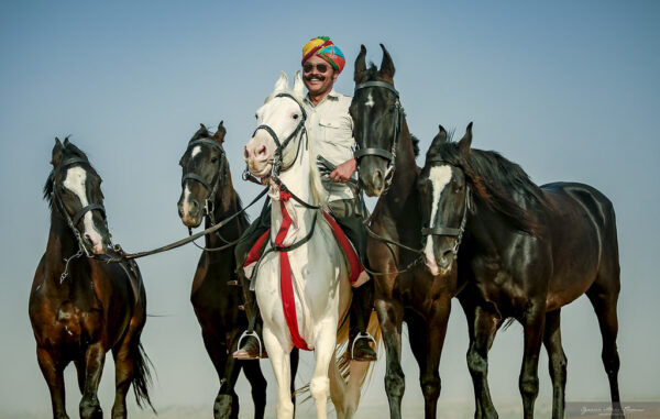 7-daagse paardrijtocht Tharwoestijn van Rajasthan – India