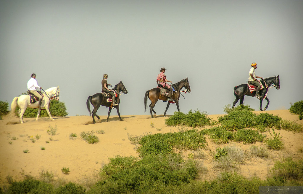 13-daagse paardrijtocht Le Grand Tour Rajasthan – India