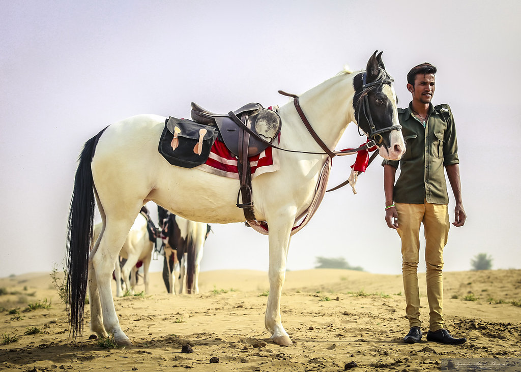 7-daagse paardrijtocht Tharwoestijn van Rajasthan – India - Afbeelding 15