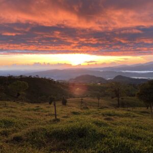 10-daagse Paardrijdtocht van berglandschappen naar de Pacifische kust - Costa Rica - Afbeelding 13