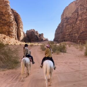 10-daagse paardrijtocht door Wadi Rum - Jordanië - Afbeelding 24