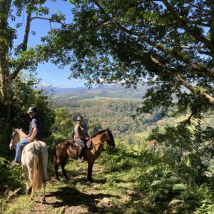 8-daagse Paardrijdtocht bergen, vulkanen, regenwoud - Costa Rica