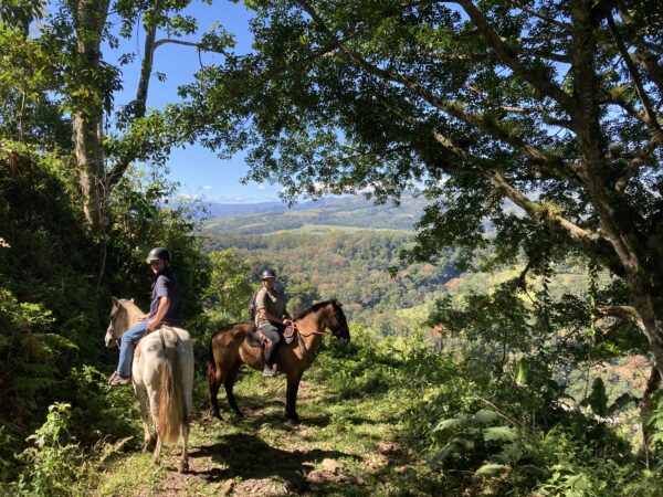 8-daagse Paardrijdtocht bergen, vulkanen, regenwoud - Costa Rica