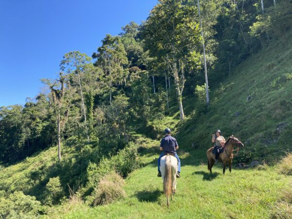 10-daagse Paardrijdtocht van berglandschappen naar de Pacifische kust - Costa Rica