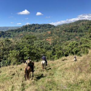 8-daagse Paardrijdtocht bergen, vulkanen, regenwoud - Costa Rica - Afbeelding 8
