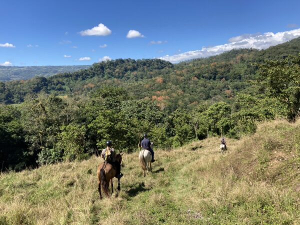 8-daagse Paardrijdtocht bergen, vulkanen, regenwoud - Costa Rica