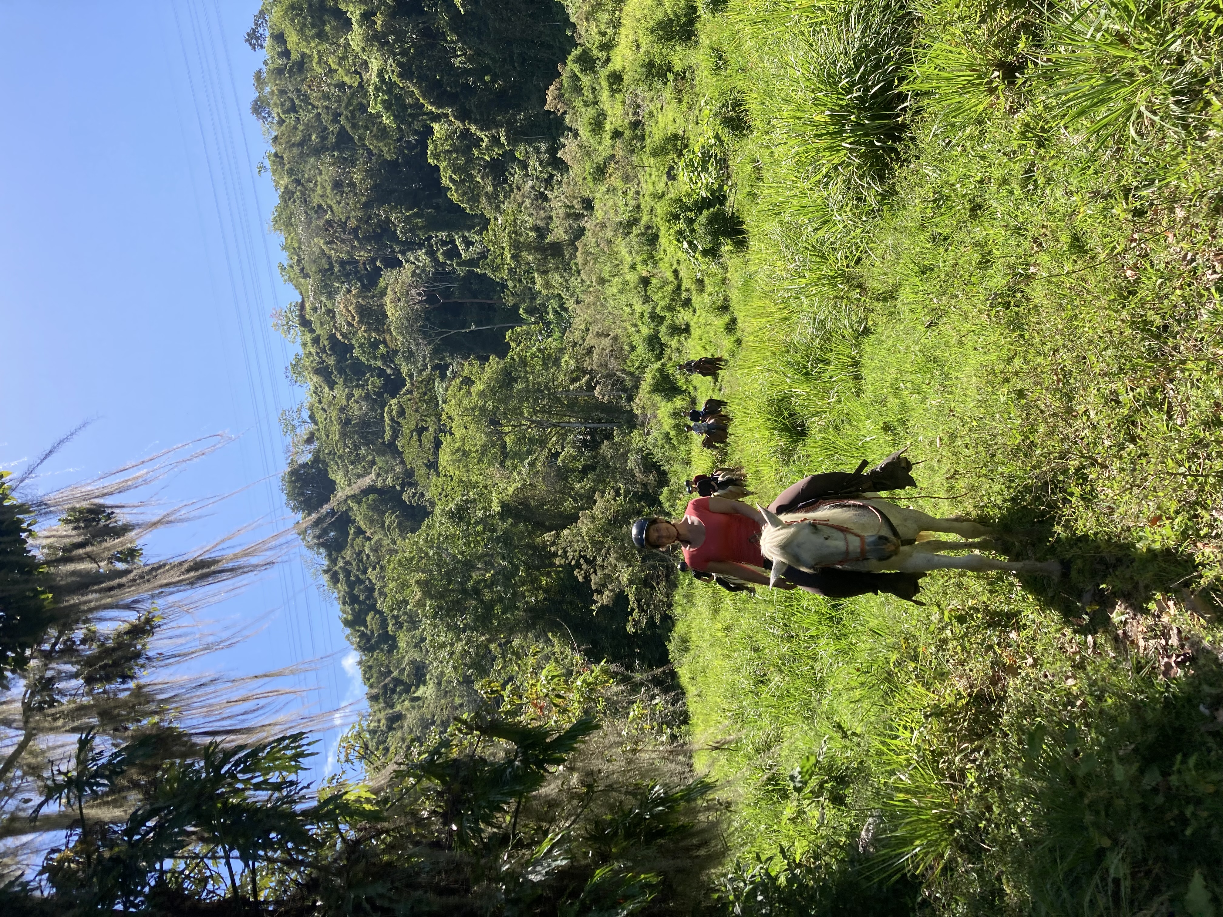 10-daagse Paardrijdtocht van berglandschappen naar de Pacifische kust - Costa Rica - Afbeelding 9