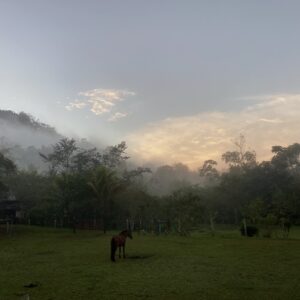 8-daagse Paardrijdtocht bergen, vulkanen, regenwoud - Costa Rica - Afbeelding 28