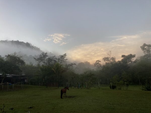 8-daagse Paardrijdtocht bergen, vulkanen, regenwoud - Costa Rica