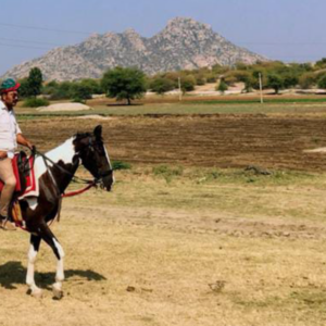 8-daagse paardrijtocht Het Luipaardpad Rajasthan – India - Afbeelding 6