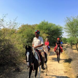 5 geplande groepsritten in 2026 en 2027 Rajasthan – India - Afbeelding 4