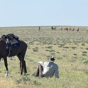 9-daagse paardrijtocht Nurota-bergen, woestijn en Zijderoute - Oezbekistan - Afbeelding 18