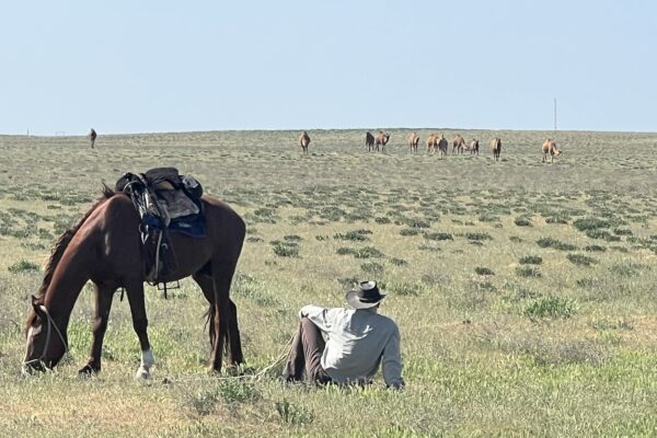 9-daagse paardrijtocht Nurota-bergen, woestijn en Zijderoute - Oezbekistan