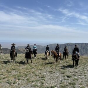 9-daagse paardrijtocht Nurota-bergen, woestijn en Zijderoute - Oezbekistan - Afbeelding 16