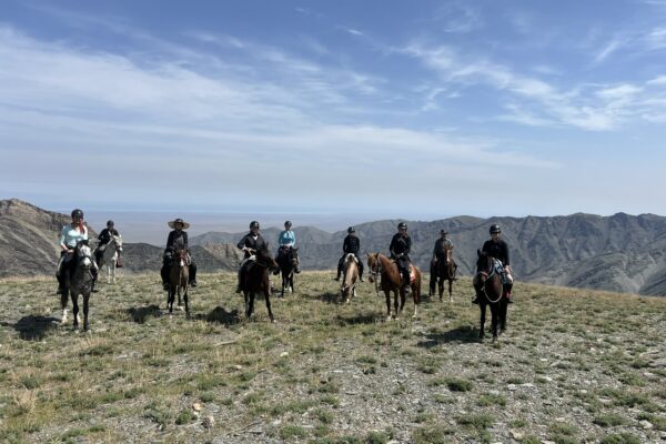 9-daagse paardrijtocht Nurota-bergen, woestijn en Zijderoute - Oezbekistan