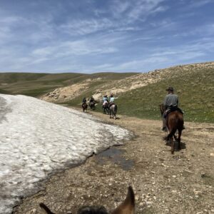 9-daagse paardrijtocht Nurota-bergen, woestijn en Zijderoute - Oezbekistan - Afbeelding 15