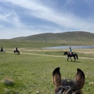 9-daagse paardrijtocht Nurota-bergen, woestijn en Zijderoute - Oezbekistan - Afbeelding 14
