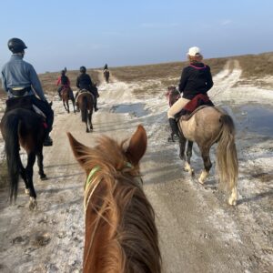 9-daagse paardrijtocht Nurota-bergen, woestijn en Zijderoute - Oezbekistan - Afbeelding 7