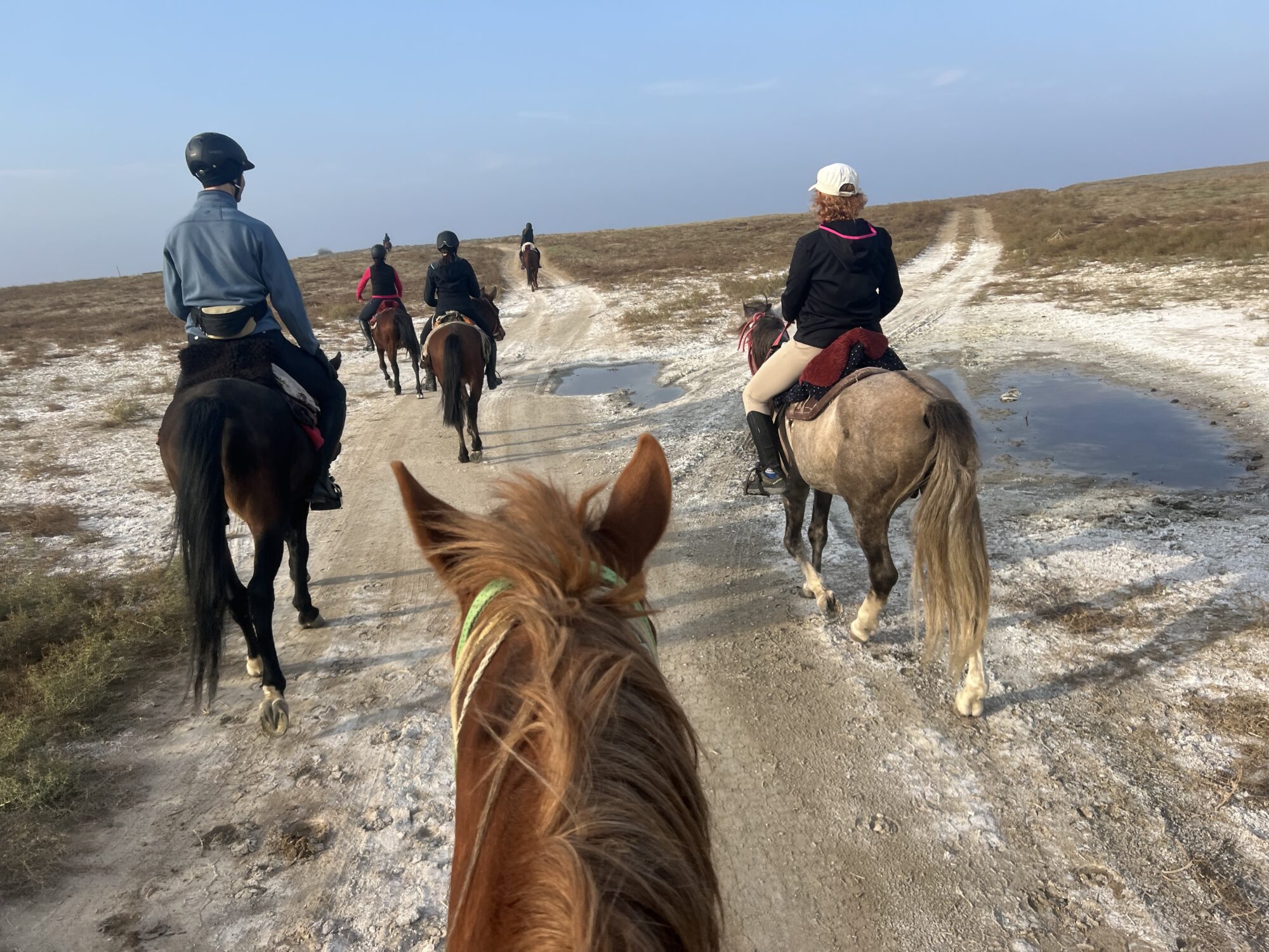 9-daagse paardrijtocht Nurota-bergen, woestijn en Zijderoute - Oezbekistan - Afbeelding 7