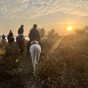 9-daagse paardrijtocht Nurota-bergen, woestijn en Zijderoute - Oezbekistan - Afbeelding 6