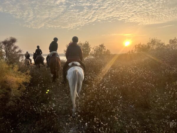 9-daagse paardrijtocht Nurota-bergen, woestijn en Zijderoute - Oezbekistan