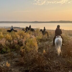 9-daagse paardrijtocht Nurota-bergen, woestijn en Zijderoute - Oezbekistan - Afbeelding 5